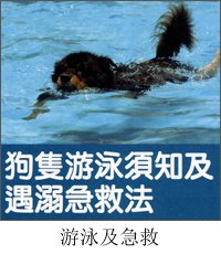 狗隻游泳須知及遇溺急救法